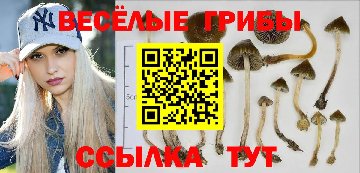 Кувандык  Псилоцибиновые грибы мицелий  Псилоцибиновые грибы Magic Shrooms  Вход с VPN 