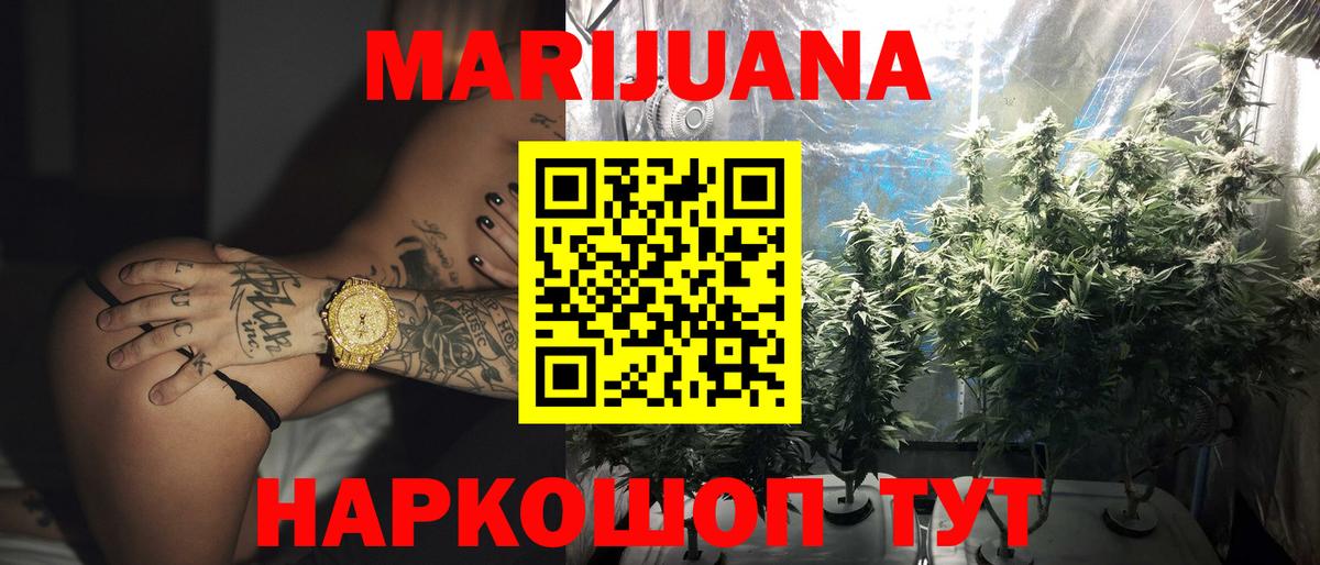 Шишки марихуана планчик  Вход с VPN  Кувандык  Конопля White Widow 